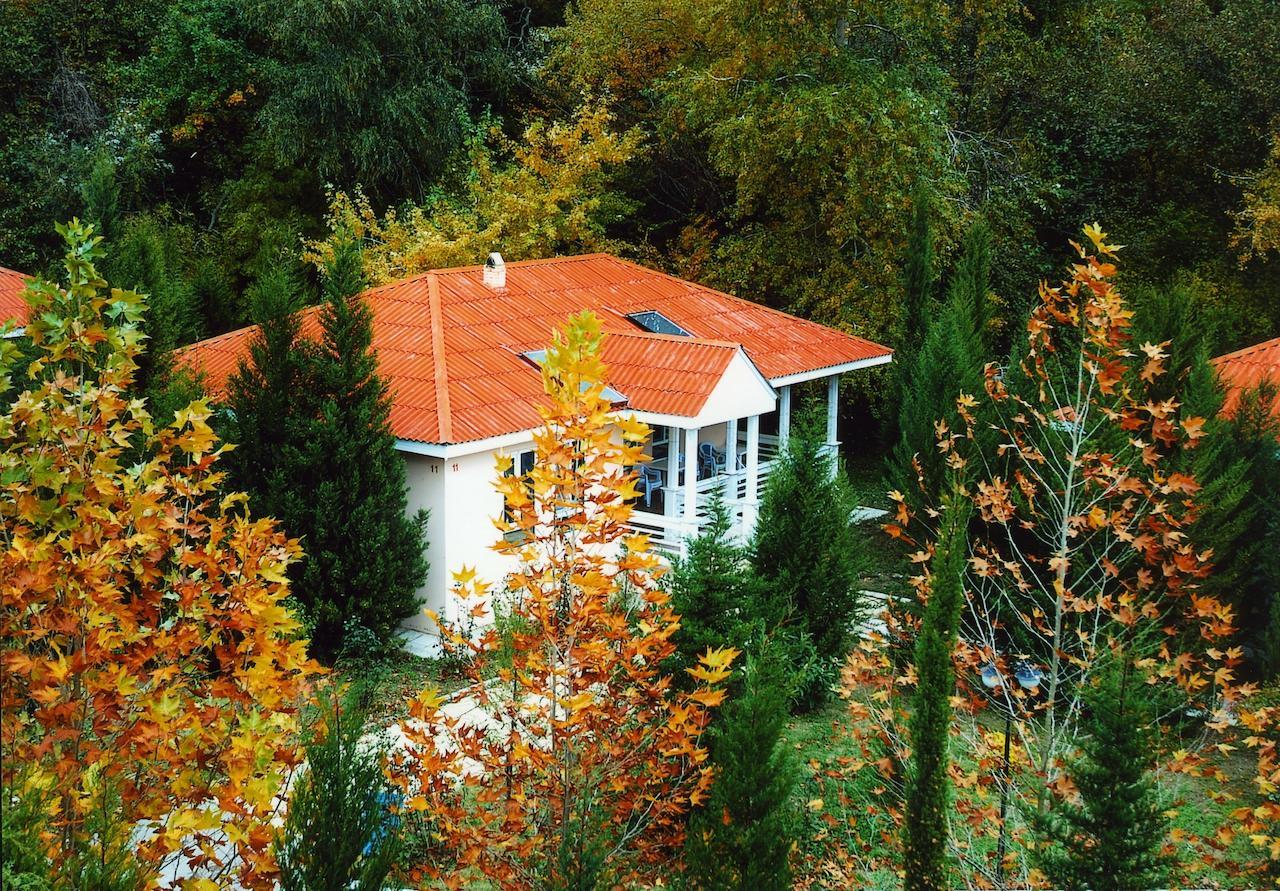 Atlant Holiday Village Nabran Room photo